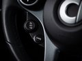 Daumennagel 15 - smart forfour  PANO RFK SHZ