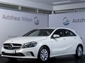 Daumennagel 2 - Mercedes-Benz A 180d Style NAVI SHZ TEMP PDC