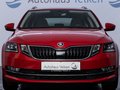 Daumennagel 3 - Skoda Octavia 2.0 TDI Style 4x4  LED RFK COLUMBUS DCC
