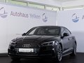 Daumennagel 1 - Audi A5 2.0 TDI Sportback S line LED VIRTUAL MMI-PL