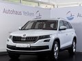 Daumennagel 1 - Skoda Kodiaq Style 2.0 TDI 4x4 ACC PANO LED 360°