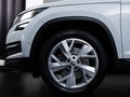 Daumennagel 6 - Skoda Kodiaq Style 2.0 TDI 4x4 ACC PANO LED 360°