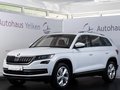 Daumennagel 2 - Skoda Kodiaq Style 2.0 TDI 4x4 ACC PANO LED 360°