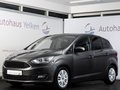 Daumennagel 2 - Ford C-MAX 1.0 EcoBoost Business Edition TEMP SHZ PDC