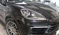 Daumennagel 7 - Porsche Cayenne E-Hybrid  BOSE/PANO/360/CHRONO