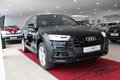 Daumennagel 7 - Audi Q5 40 TDI quattro S-LINE