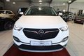 Daumennagel 7 - Opel Grandland Business Innovation 360° Kamera PANO