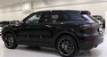 Daumennagel 2 - Porsche Cayenne E-Hybrid