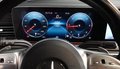 Daumennagel 14 - Mercedes-Benz GLE 300 d 4Matic AMG-LINE PANO/BURM/360/AHK