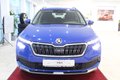 Daumennagel 10 - Skoda Kamiq Style 1.5 TSI  ACC LENKRADHZG KAMERA