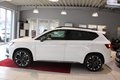 Daumennagel 2 - CUPRA Ateca 4Drive AHK*Carplay*