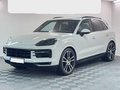 Daumennagel 1 - Porsche Cayenne E-Hybrid