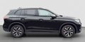 Daumennagel 7 - Volkswagen Tiguan 1.5 eTSI Life AHK/KAMERA