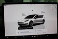 Daumennagel 14 - Tesla Model 3 Basis RWD