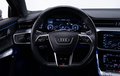 Daumennagel 18 - Audi A6 Avant 40 TDI sport