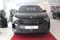 Daumennagel 9 - Skoda Kodiaq 2.0 TDI 4x4 Sportline 360°/PANO