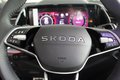 Daumennagel 19 - Skoda Kodiaq 2.0 TDI 4x4 Sportline 360°/PANO