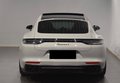 Daumennagel 4 - Porsche Panamera 4 E-Hybrid Platinum Edition