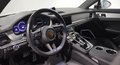 Daumennagel 10 - Porsche Panamera 4 E-Hybrid Platinum Edition
