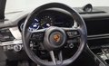 Daumennagel 14 - Porsche Panamera 4 E-Hybrid Platinum Edition