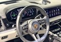 Daumennagel 17 - Porsche Cayenne E-Hybrid PASSENGER DISPLAY