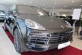 Daumennagel 3 - Porsche Cayenne E-Hybrid Platinum Edition