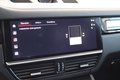 Daumennagel 23 - Porsche Cayenne E-Hybrid Platinum Edition