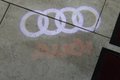 Daumennagel 16 - Audi A6 Avant 3.0 TDI quattro tiptronic Competition  LED AMBIENTE
