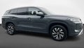 Daumennagel 4 - Volkswagen Tayron 2.0 TSI 4Motion Life Winter-Paket Premium