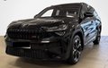 Daumennagel 1 - Skoda Kodiaq 2.0 TSI 4x4 RS