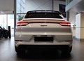 Daumennagel 3 - Porsche Cayenne Coupe E-Hybrid Platinum Edition