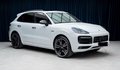 Daumennagel 8 - Porsche Cayenne E-Hybrid Platinum Edition