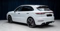 Daumennagel 7 - Porsche Cayenne E-Hybrid Platinum Edition