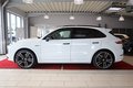 Daumennagel 2 - Porsche Cayenne E-Hybrid Platinum Edition