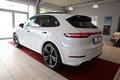 Daumennagel 3 - Porsche Cayenne E-Hybrid Platinum Edition
