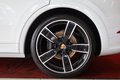 Daumennagel 4 - Porsche Cayenne E-Hybrid Platinum Edition