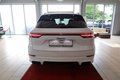 Daumennagel 7 - Porsche Cayenne E-Hybrid Platinum Edition