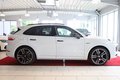 Daumennagel 10 - Porsche Cayenne E-Hybrid Platinum Edition