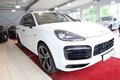 Daumennagel 11 - Porsche Cayenne E-Hybrid Platinum Edition