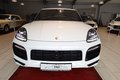 Daumennagel 12 - Porsche Cayenne E-Hybrid Platinum Edition