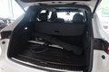Daumennagel 41 - Porsche Cayenne E-Hybrid Platinum Edition