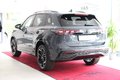 Daumennagel 2 - Volkswagen Tiguan 2.0 TDI 4Motion R-Line *NP 70Tsd