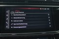 Daumennagel 29 - Audi RS Q8 4.0 TFSI quattro PANO*STANDHEIZUNG Matrix-LED
