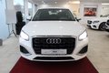 Daumennagel 9 - Audi Q2 35 TFSI advanced Carplay-Navi*LED