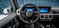 Daumennagel 17 - Mercedes-Benz G450 d Professional Line TECHNIK-PAKET*MANUFAKTUR