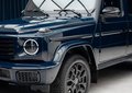 Daumennagel 2 - Mercedes-Benz G450 d Professional Line TECHNIK-PAKET*MANUFAKTUR