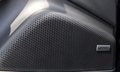 Daumennagel 17 - Porsche Macan Electric 4P-DISPLAY PSM RS-SPYDER DESIGN