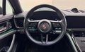 Daumennagel 14 - Porsche Panamera 4 E-Hybrid