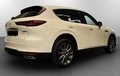 Daumennagel 2 - Mazda CX-60 Exclusive-Line Hybrid AWD Comfort-Pake
