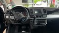 Daumennagel 20 - Volkswagen T6 Multivan Highline